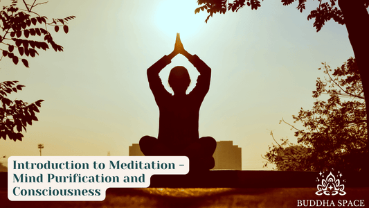 Introduction to Meditation：Mind Purification and Consciousness